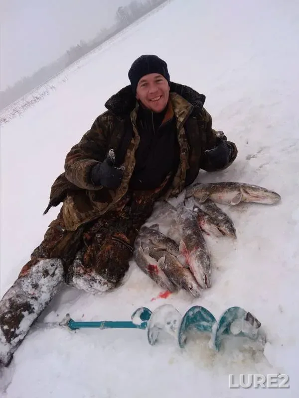 Pike — Sitnoye, Mar 18, 2018