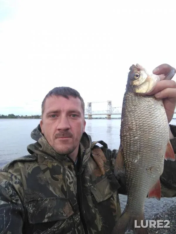 Ide — Severnaya Dvina, Jun 28, 2019