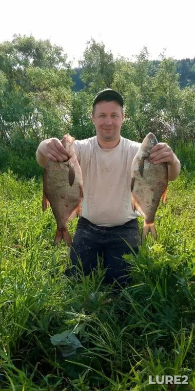 Bream — Severnaya Dvina, Jun 26, 2019