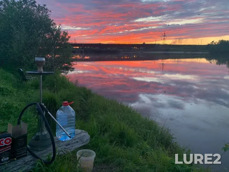 Bream — Severnaya Dvina, Jun 19, 2019