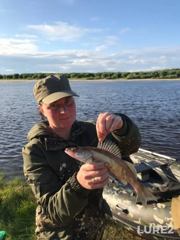 Pike, Zander — Severnaya Dvina, Jul 27, 2019