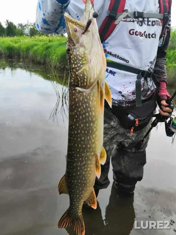 Pike, Zander — Yada, Jul 21, 2019