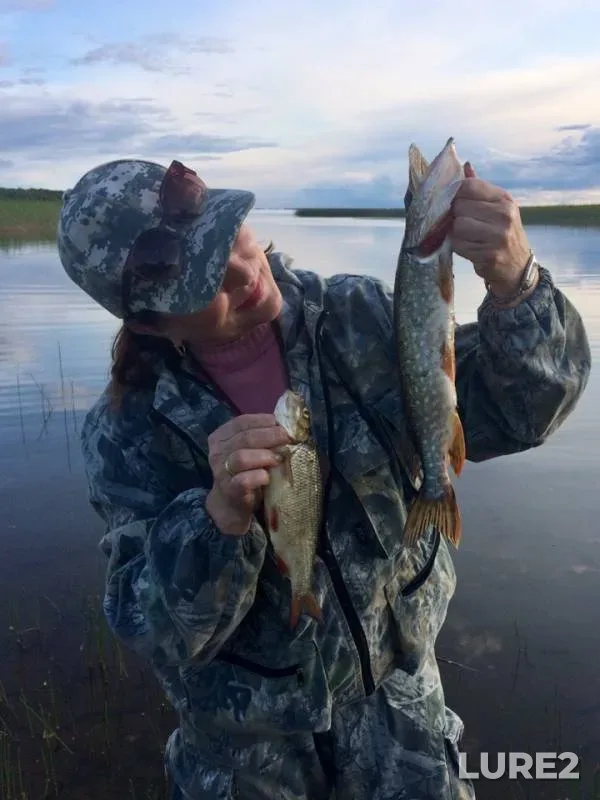 Pike — Onega, Jul 15, 2019