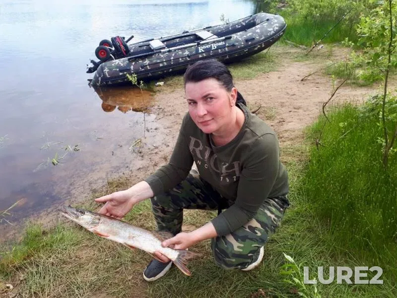 Perch, Roach — Severnaya Dvina, Jul 14, 2019