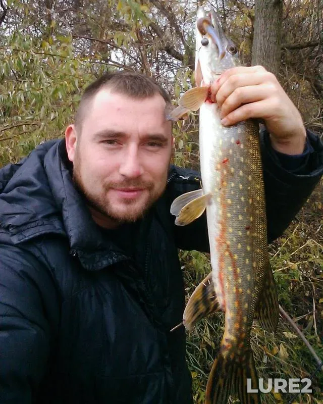Pike — Samara, Nov 04, 2017
