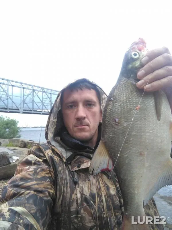 Bream — Severnaya Dvina, Jul 13, 2019