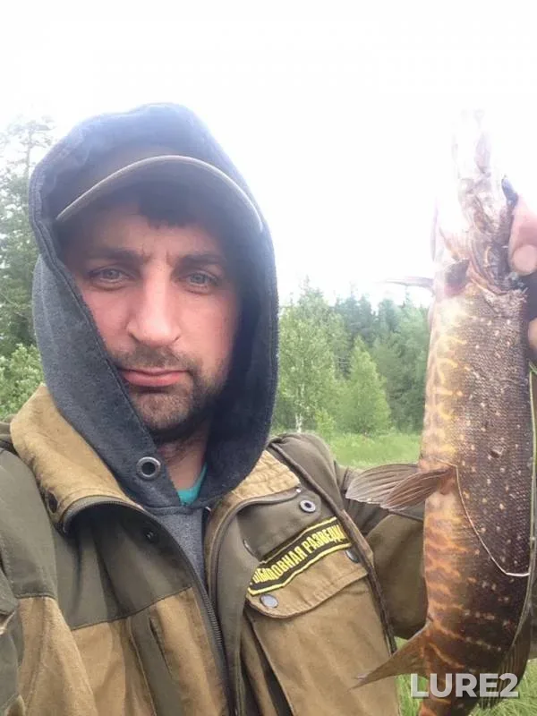 Pike — Arkhangelskaya oblast, Primorskiy munitsipalnyy okrug, Jul 13, 2019