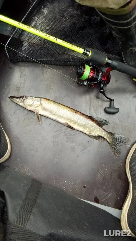 Pike — Levkovka, Jul 05, 2019