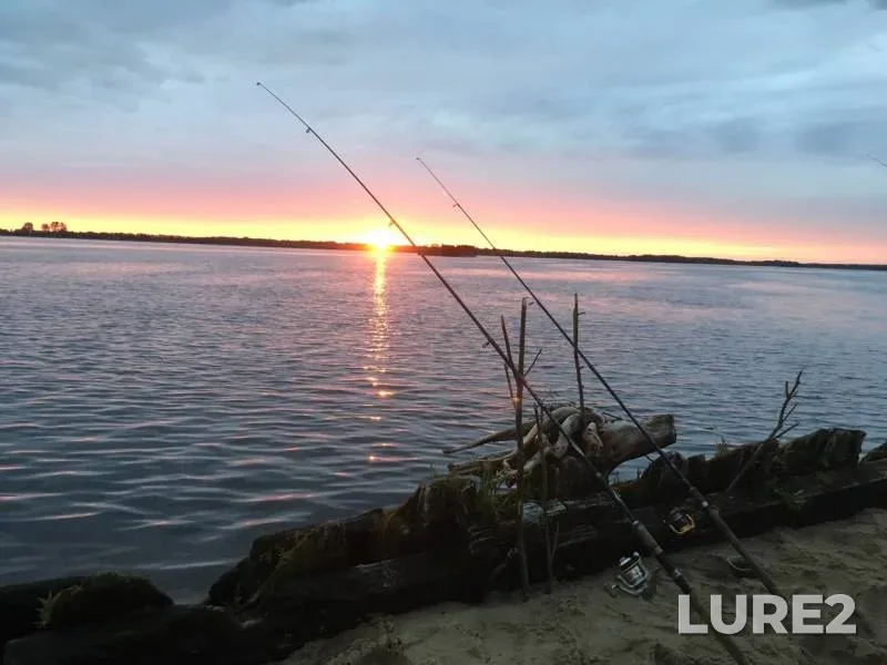 Bream, Pike — Severnaya Dvina, Jul 02, 2019