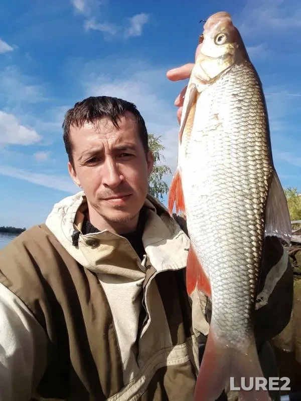 Asp, Perch — Khabarka, Sep 03, 2019