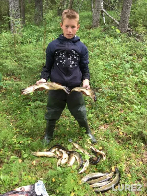 Pike — Vel, Aug 03, 2019