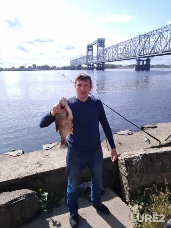 Bream — Severnaya Dvina, Aug 12, 2019