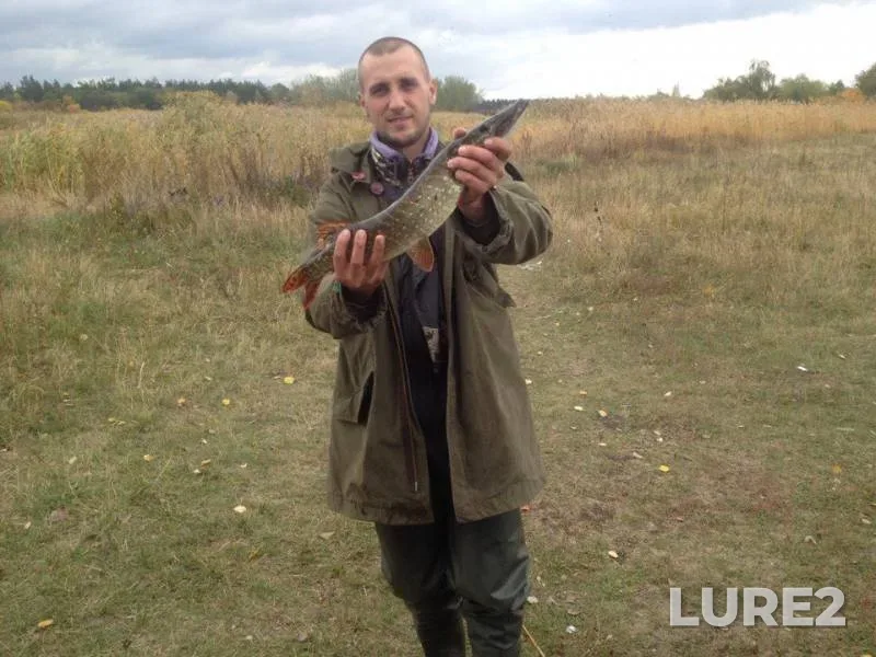 Perch, Pike — Samara, Oct 12, 2017