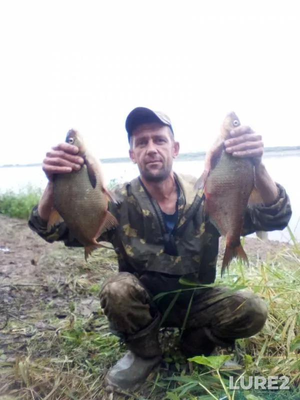 Bream — Severnaya Dvina, Aug 22, 2019