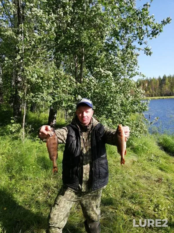 Perch — Arkhangelskaya oblast, Plesetskiy munitsipalnyy okrug, Aug 26, 2019