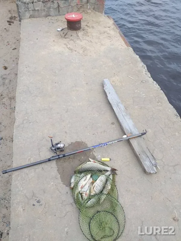 Bream, Ide — Severnaya Dvina, Aug 31, 2019