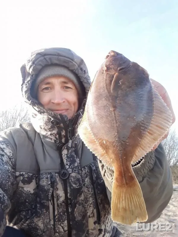 Pike — Severnaya Dvina, Oct 28, 2019