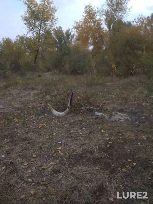 Pike — Dnepr, Oct 08, 2017