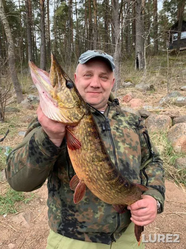 Pike — Leningradskaya oblast, Vyborgskiy rayon, May 19, 2019