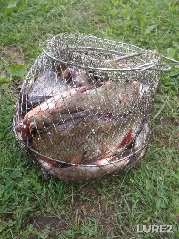 Bream, Ide — Luga, May 26, 2019