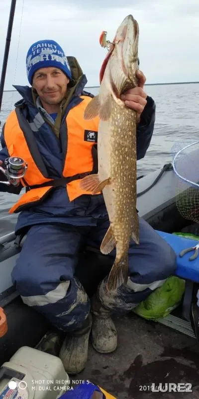 Pike — Leningradskaya oblast, Volkhovskiy rayon, Jun 03, 2019