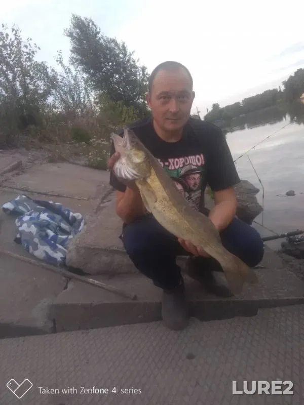 Zander — Yekateringofka, Aug 07, 2019