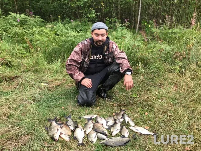 Bream — Luga, Aug 04, 2019
