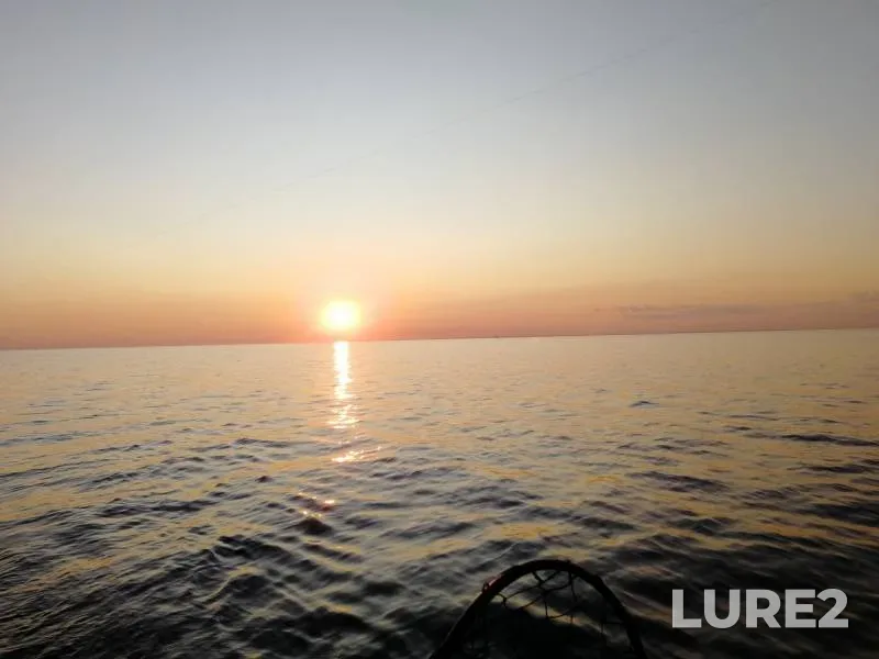 Zander — Leningradskaya oblast, Jul 23, 2019