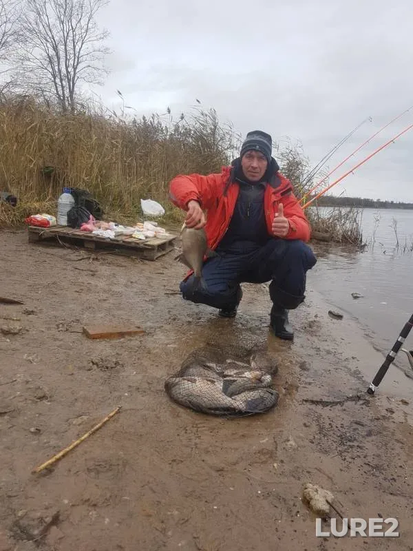 Bream — Volkhov, Oct 17, 2019