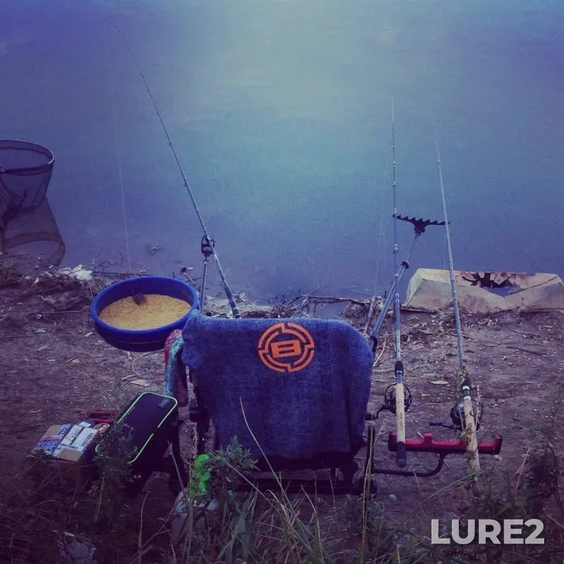 Carp, Grass carp — Dnіpropetrovska oblast, Sep 12, 2017