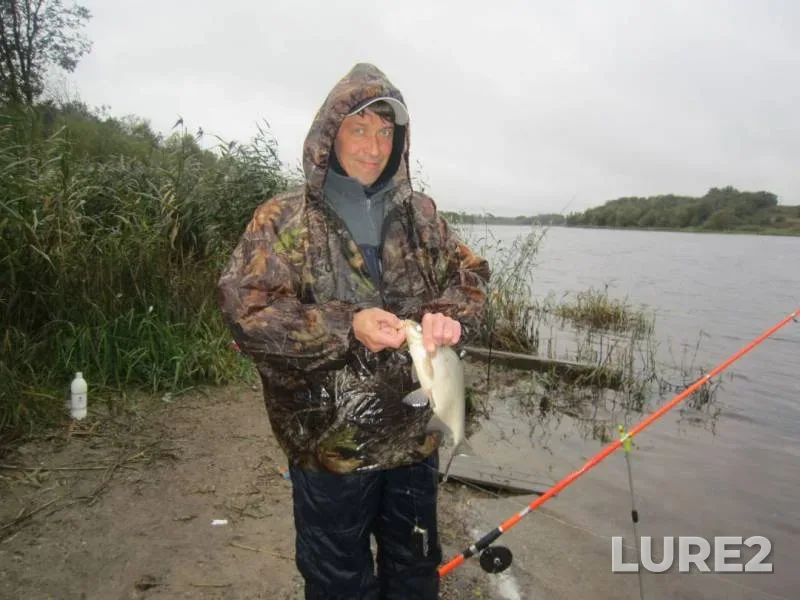 Bream — Volkhov, Sep 17, 2019