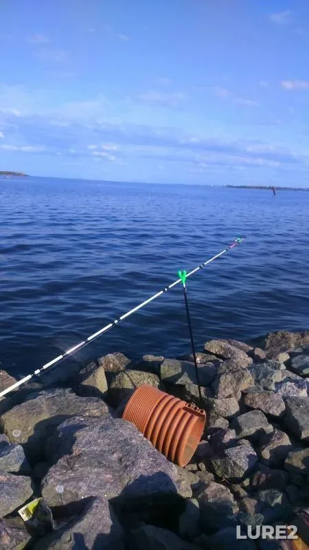Bream — Leningradskaya oblast, Aug 18, 2019
