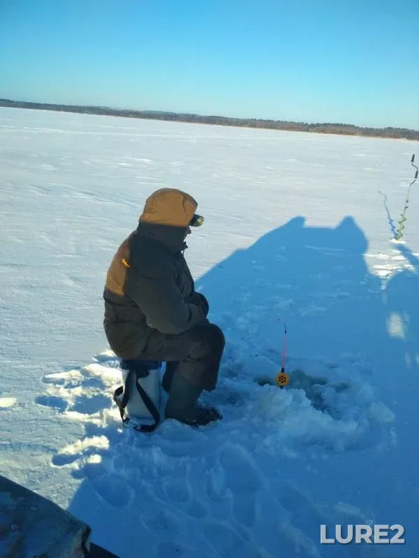 Burbot — Izhboldinka, Jan 12, 2018