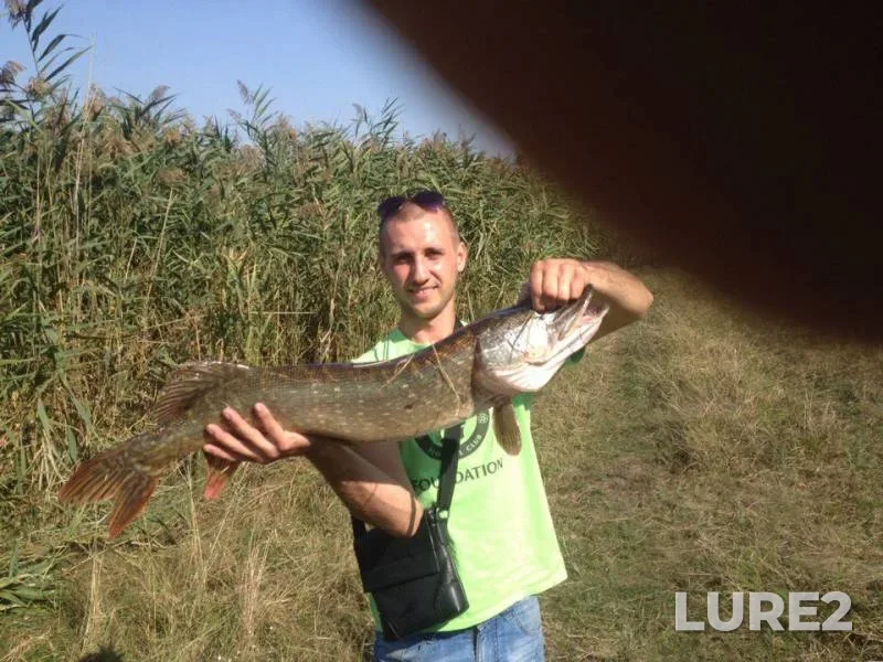 Pike — Dnіpropetrovska oblast, Sep 11, 2017