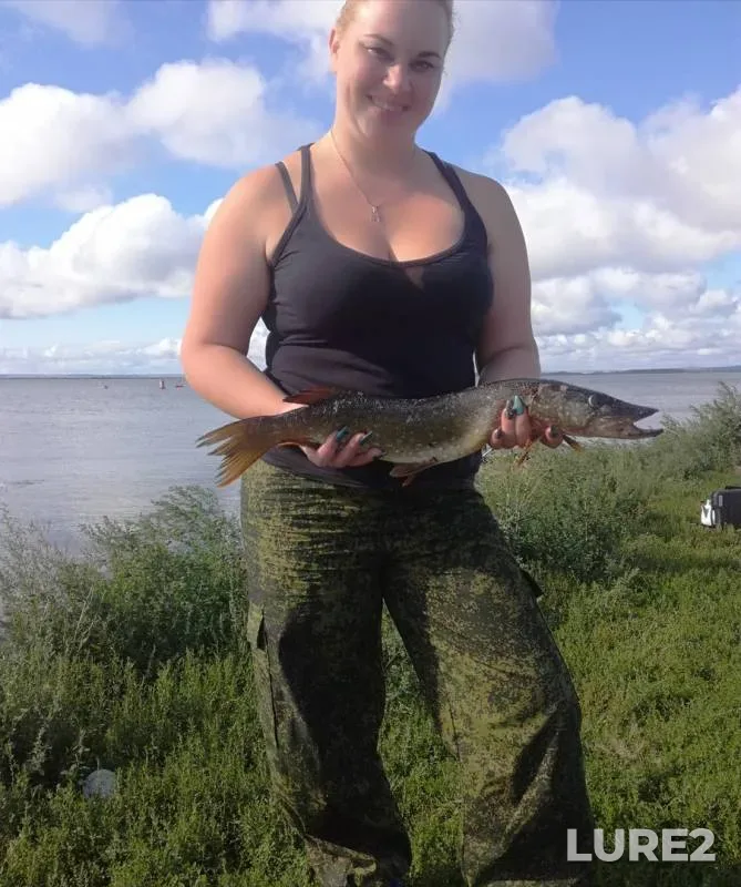 Pike — Nizhnekamskoye, Aug 28, 2018