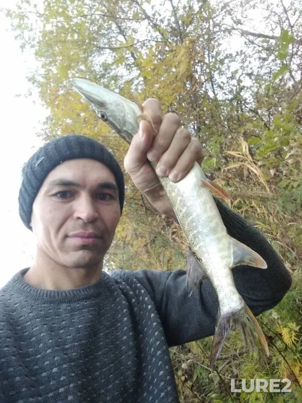 Pike — Belaya, Oct 03, 2019