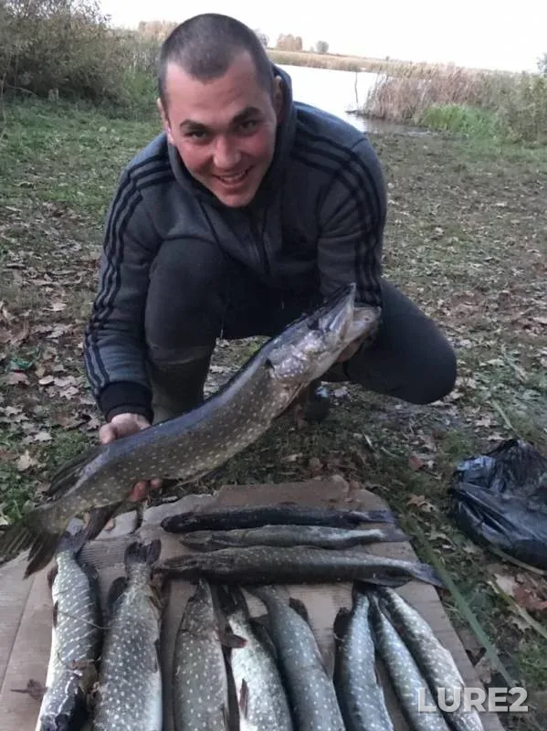 Pike — Shabiz, Sep 30, 2019