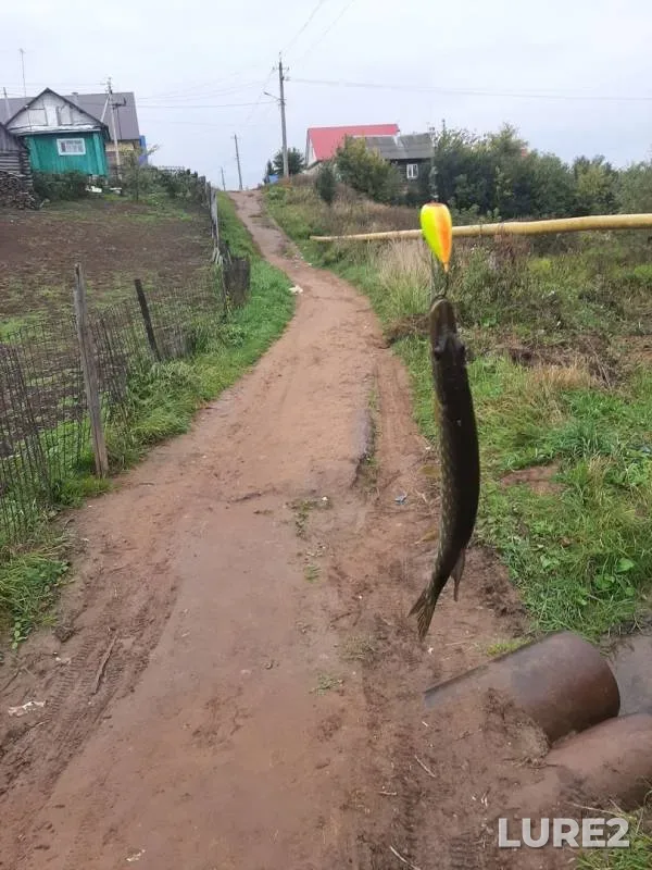 Pike — Belaya, Sep 18, 2019