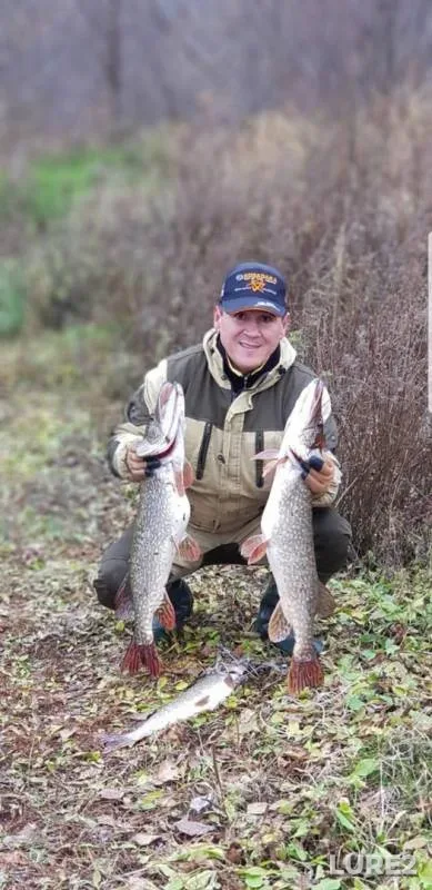 Pike — Belaya, Oct 25, 2019