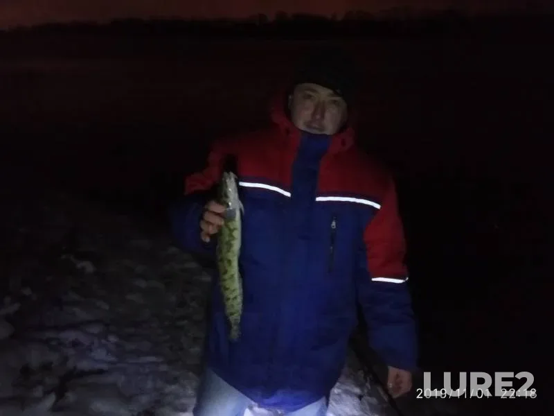 Burbot — Belaya, Nov 01, 2019