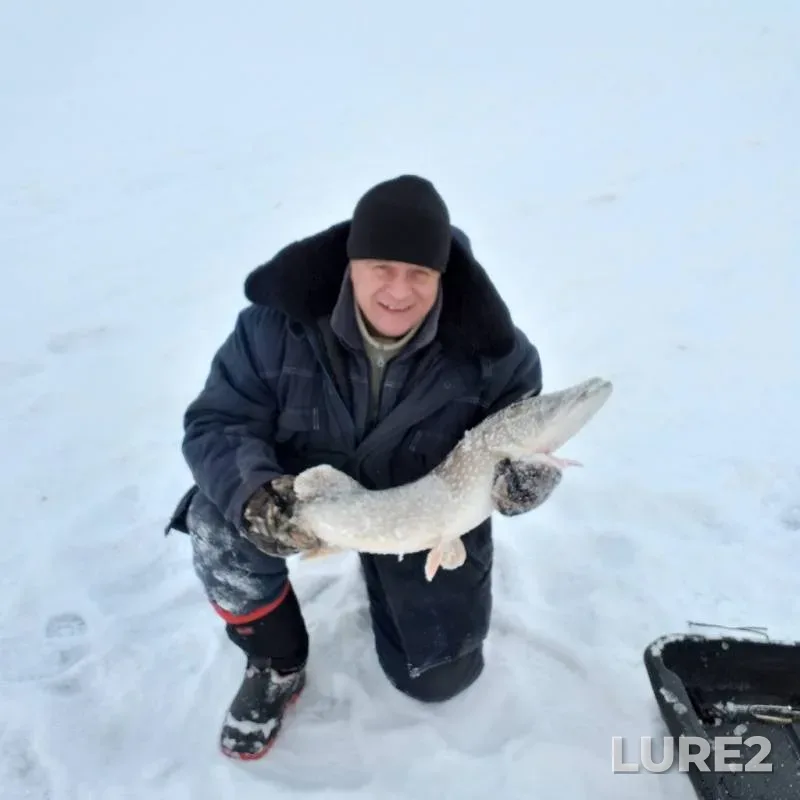 Pike — Respublika Bashkortostan, Nov 01, 2019
