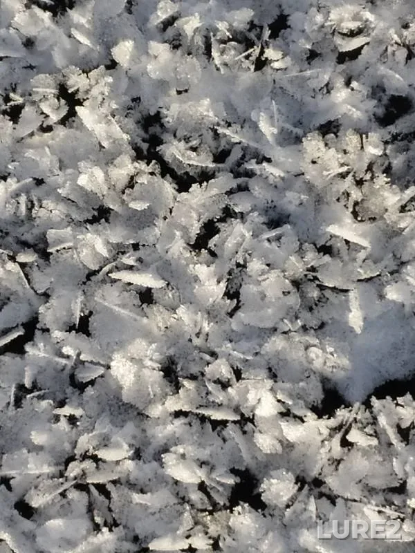 Perch — Respublika Bashkortostan, Nov 26, 2019