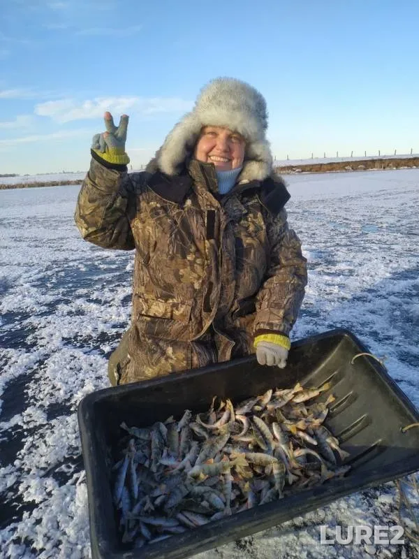 Perch — Respublika Bashkortostan, Nov 29, 2019