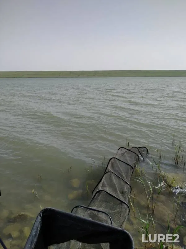 Bleak, Bream — Krasnoye, May 13, 2019