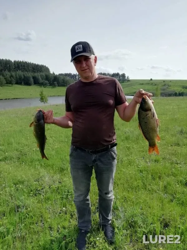 Carp — Stish, May 14, 2019