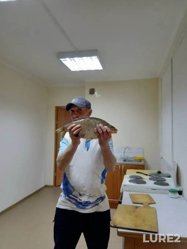 Bream — Volkhov, May 28, 2019