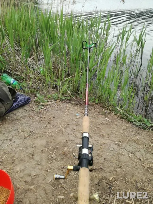 Roach, White bream — Vozha, May 28, 2019