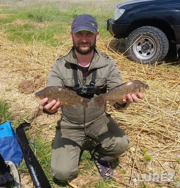 Crucian carp — Karagandinskaya oblast, Jun 01, 2019