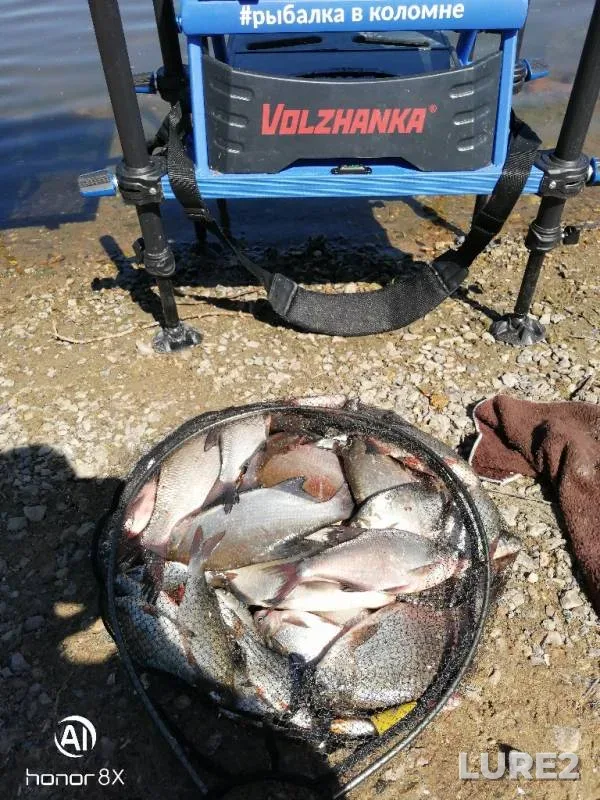 Bream — Moskva, Jun 06, 2019