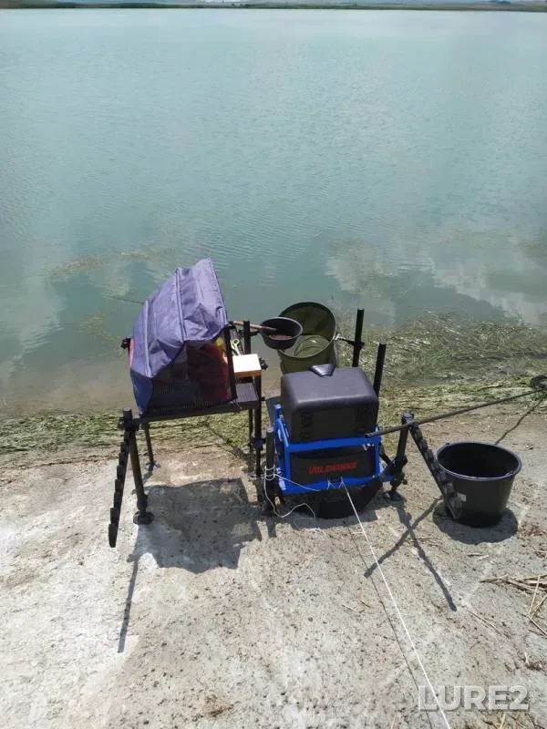 Bleak, Crucian carp — Yegorlyk, Jul 22, 2019